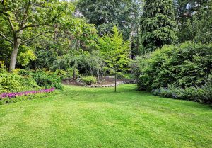 Optimiser l'expérience du jardin à Bouillonville